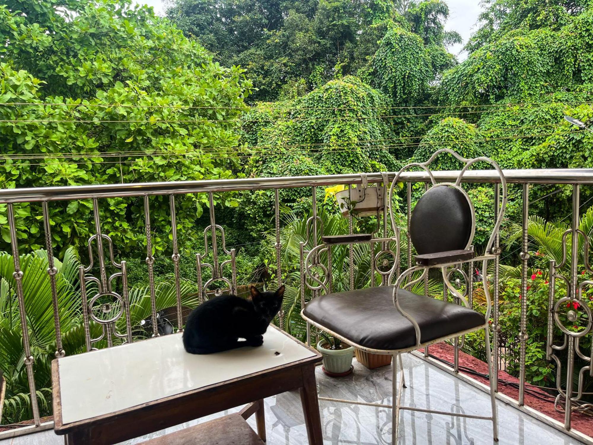 Natures Haven Vagator Apartment Ngoại thất bức ảnh